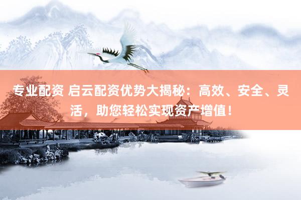 專業(yè)配資 啟云配資優(yōu)勢(shì)大揭秘：高效、安全、靈活，助您輕松實(shí)現(xiàn)資產(chǎn)增值！