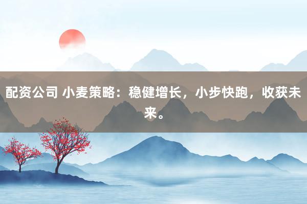 配資公司 小麥策略：穩(wěn)健增長，小步快跑，收獲未來。