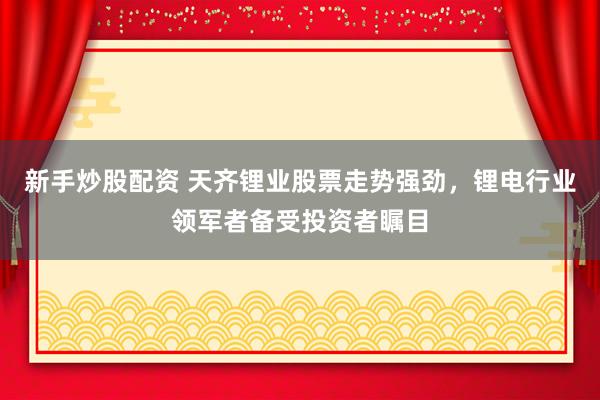 新手炒股配資 天齊鋰業(yè)股票走勢強勁，鋰電行業(yè)領軍者備受投資者矚目
