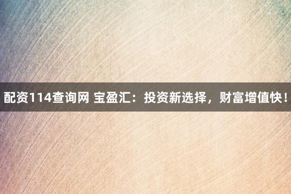 配資114查詢網(wǎng) 寶盈匯：投資新選擇，財(cái)富增值快！