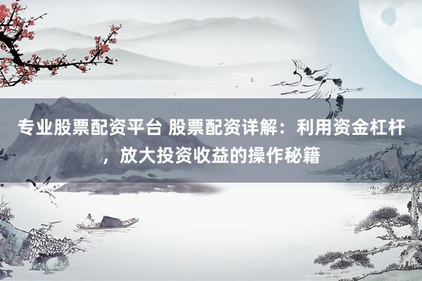 專業(yè)股票配資平臺 股票配資詳解：利用資金杠桿，放大投資收益的操作秘籍