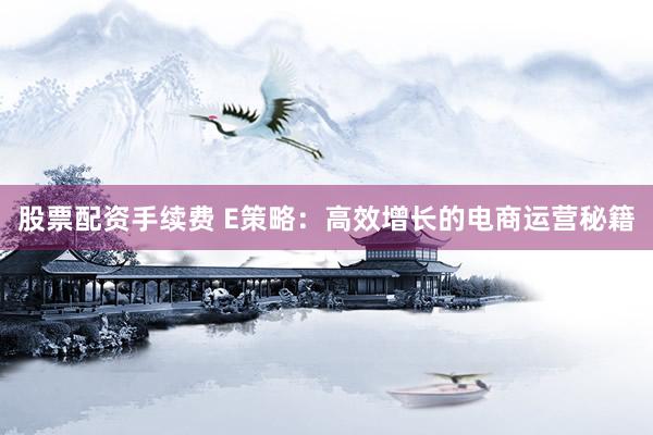 股票配資手續(xù)費(fèi) E策略：高效增長的電商運(yùn)營秘籍